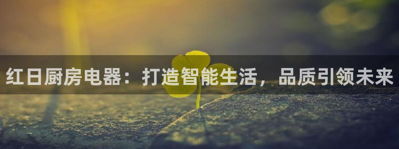 摩登7后3299O7