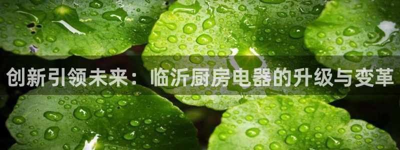 摩登招商虍金手指排名7