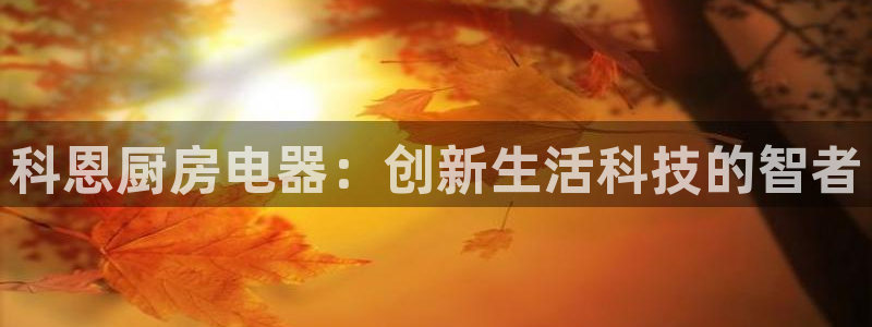 摩登平台标7O777