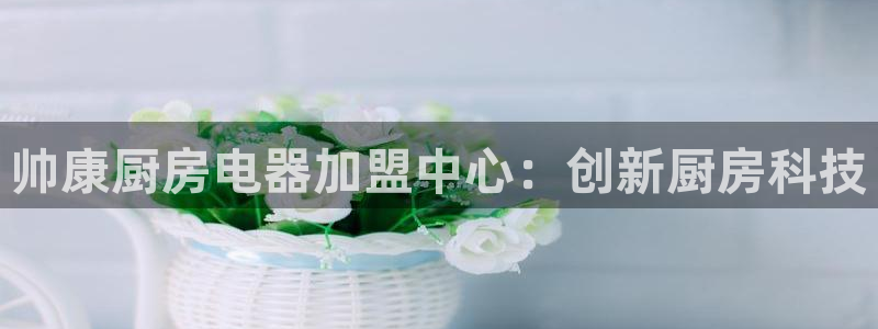 摩登7是什么