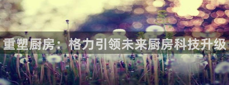 摩登7挂机